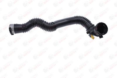 FURTUN EAR SUPRAALIMENTARE BIRTH 55781 1