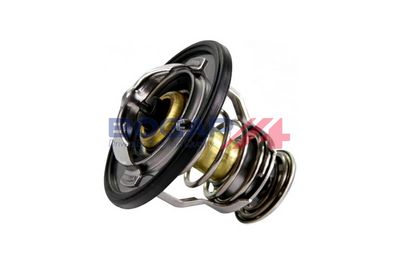 TERMOSTAT LICHID RACIRE