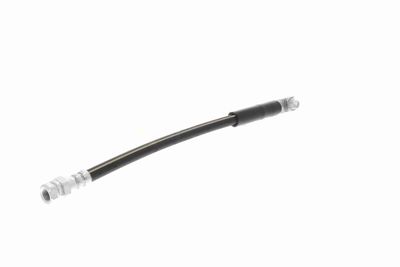 FURTUN FRANA VAICO V107967 6