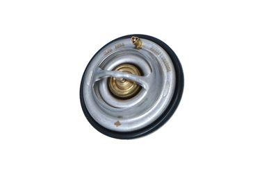 TERMOSTAT LICHID RACIRE NRF 725075 10