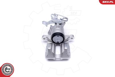 Brake Caliper 50SKV224