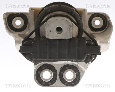 SUPORT MOTOR TRISCAN 850527105 1