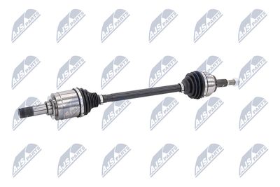 PLANETARA NTY NPWCH126 5