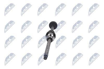 PLANETARA NTY NPWPE081 34