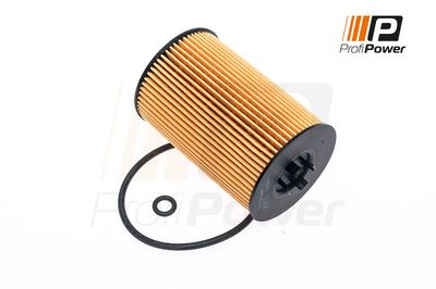alyvos filtras 1F0022 ProfiPower