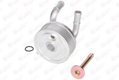 RADIATOR ULEI ULEI MOTOR BIRTH 80138 8