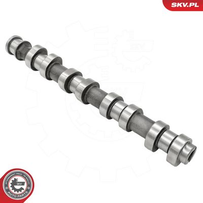 разпределителен вал ESEN SKV 80SKV014