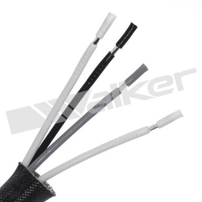 LAMBDASONDE WALKER PRODUCTS 25024600 2