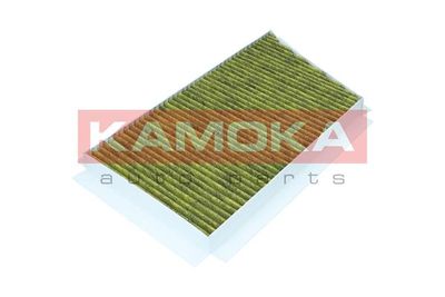 Filter, cabin air 6080065