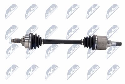 PLANETARA NTY NPWCT008 25