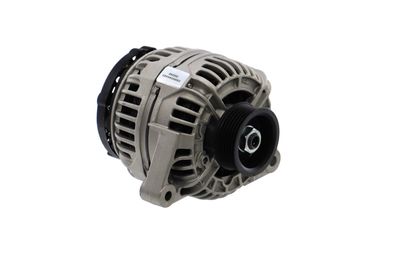 GENERATOR / ALTERNATOR REMANTE 011003000117R 49