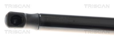 AMORTIZOR PORTBAGAJ TRISCAN 871043308 1
