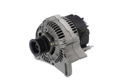 GENERATOR / ALTERNATOR REMANTE 011003000005R 7