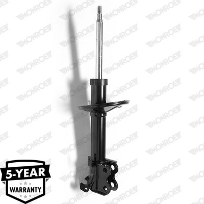 Shock Absorber G16252