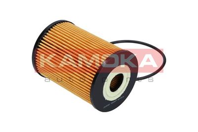 Oil Filter F110301