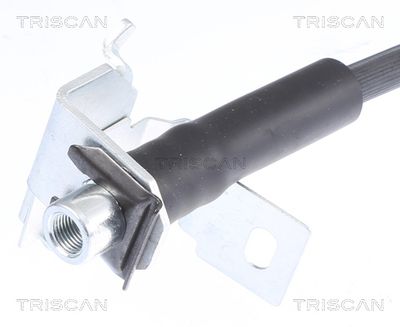 FURTUN FRANA TRISCAN 815080202 1