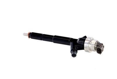 INJECTOR REMANTE 002003000192R 16
