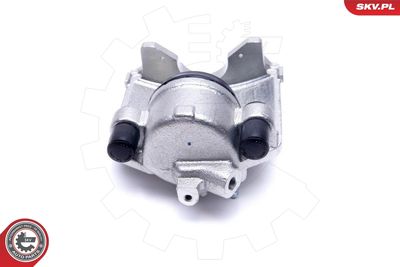 Brake Caliper 55SKV821