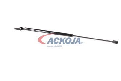 AMORTIZOR PORTBAGAJ ACKOJA A520066 13