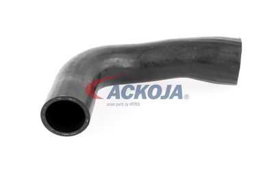 FURTUN EAR SUPRAALIMENTARE ACKOJA A389600 55
