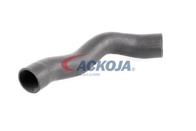 FURTUN EAR SUPRAALIMENTARE ACKOJA A379600 54