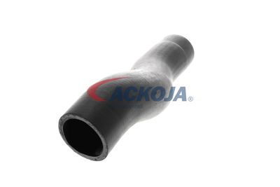FURTUN EAR SUPRAALIMENTARE ACKOJA A529600 26