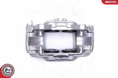 Brake Caliper 50SKV092