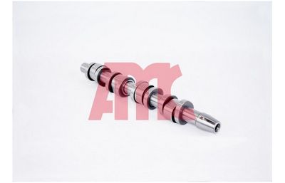 NOCKENWELLE AMC 647329 2