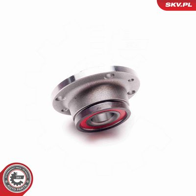 SET RULMENT ROATA ESEN SKV 29SKV014 2