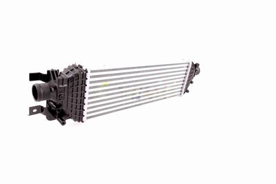 INTERCOOLER COMPRESOR VEMO V25600002 8