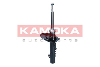 Shock Absorber 2001282