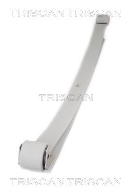 TRISCAN Federnpaket