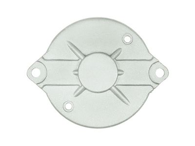 AS-PL Starterdeckel, Vergaser