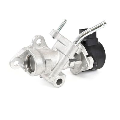SUPAPA EGR DELPHI EG1053312B1 24