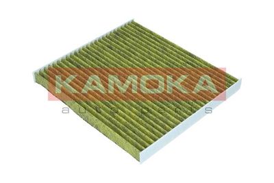 Filter, cabin air 6080024