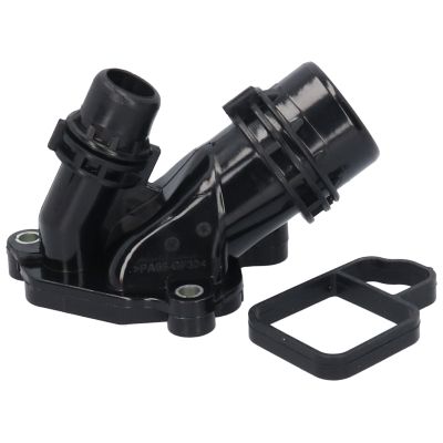 FLANSA LICHID RACIRE BIRTH 81113
