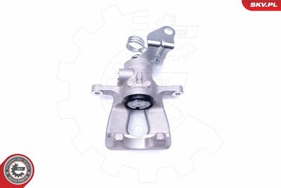 Brake Caliper 44SKV054