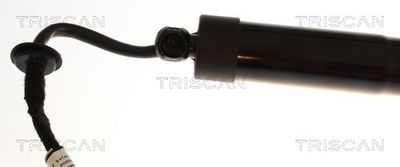 Kaasujousi, tavaratila TRISCAN 8710 43316