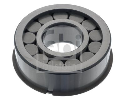 FEBI BILSTEIN Lager, Differential