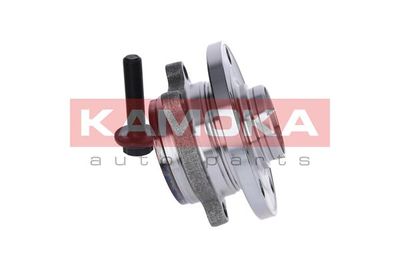 Wheel Bearing Kit 5500069