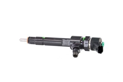 INJECTOR REMANTE 002003000970R 14