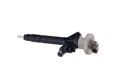 INJECTOR REMANTE 002003000191R 15