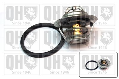 QUINTON-HAZELL QTH646K Термостат  для RENAULT (Рено)