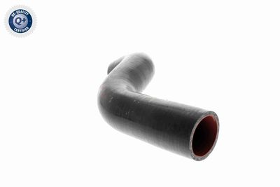 FURTUN EAR SUPRAALIMENTARE VAICO V460743 3