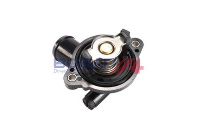 Thermostat, Kühlmittel