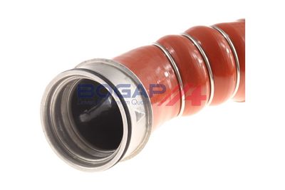FURTUN EAR SUPRAALIMENTARE BOGAP B1711141 2