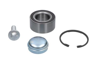 Kavo Parts Rato guolio komplektas