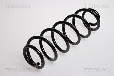 TRISCAN 8750 2876 Пружина подвески  для PEUGEOT 307 (Пежо 307)