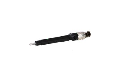 INJECTOR REMANTE 002003002091R 64