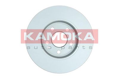 Brake Disc 103341